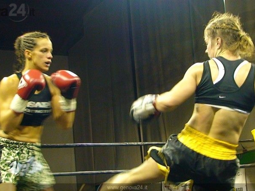 Internarional Fight Show 2010