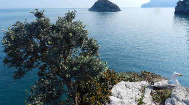 Addio Spiagge Libere A Bergeggi La Proposta Del Sindaco