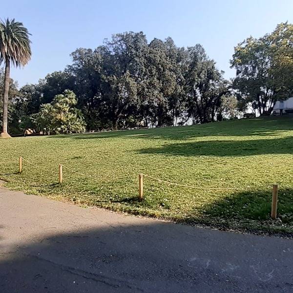 aster verde pubblico parchi di nervi