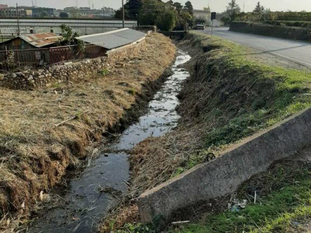 Pulizia Rio Carenda albenga