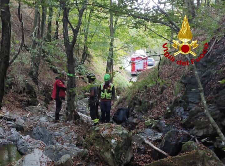 Vigili fuoco soccorso alpino bosco fungaiolo