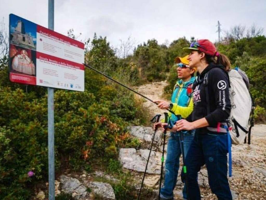 San Valentino, quali rose regalare? Ecco i consigli di Confagricoltura:  Meno messaggini e più rose 