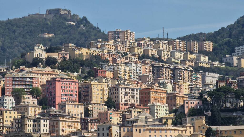 case palazzi panorama genova