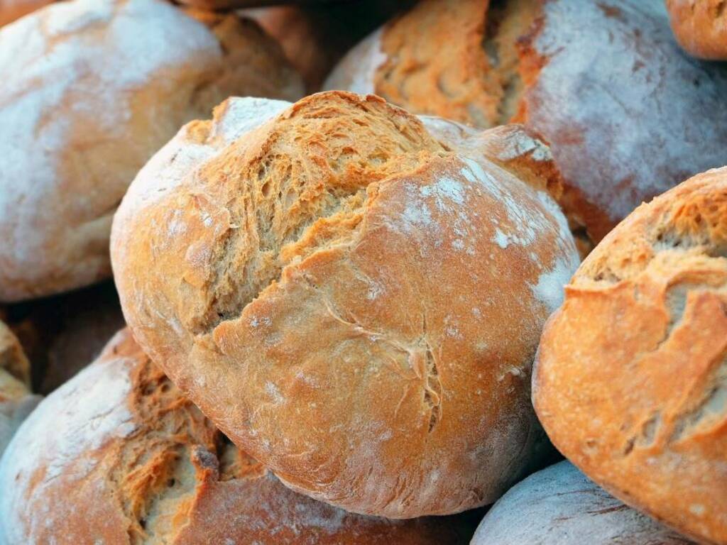 pane panificio