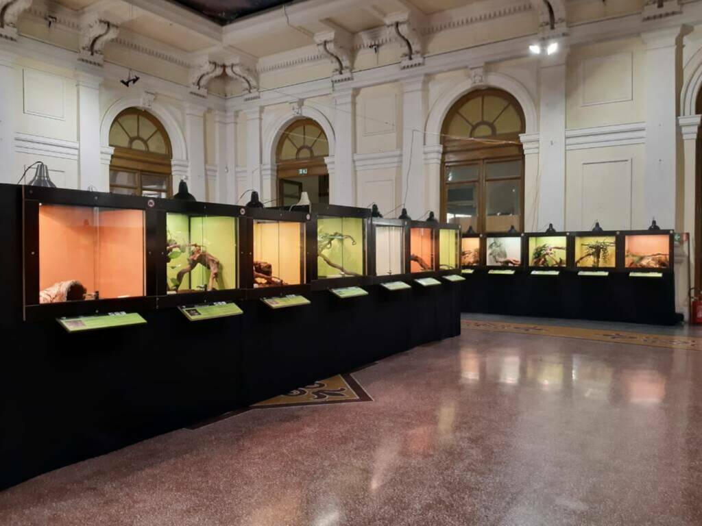 Genova "Serpenti" mostra