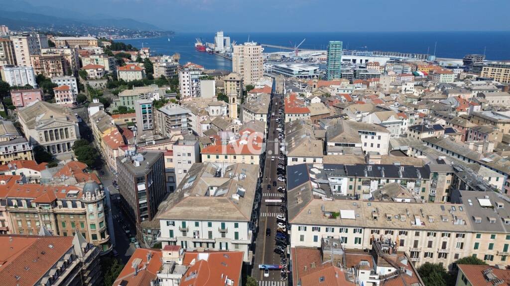 savona vista veduta dall'alto via Paleocapa