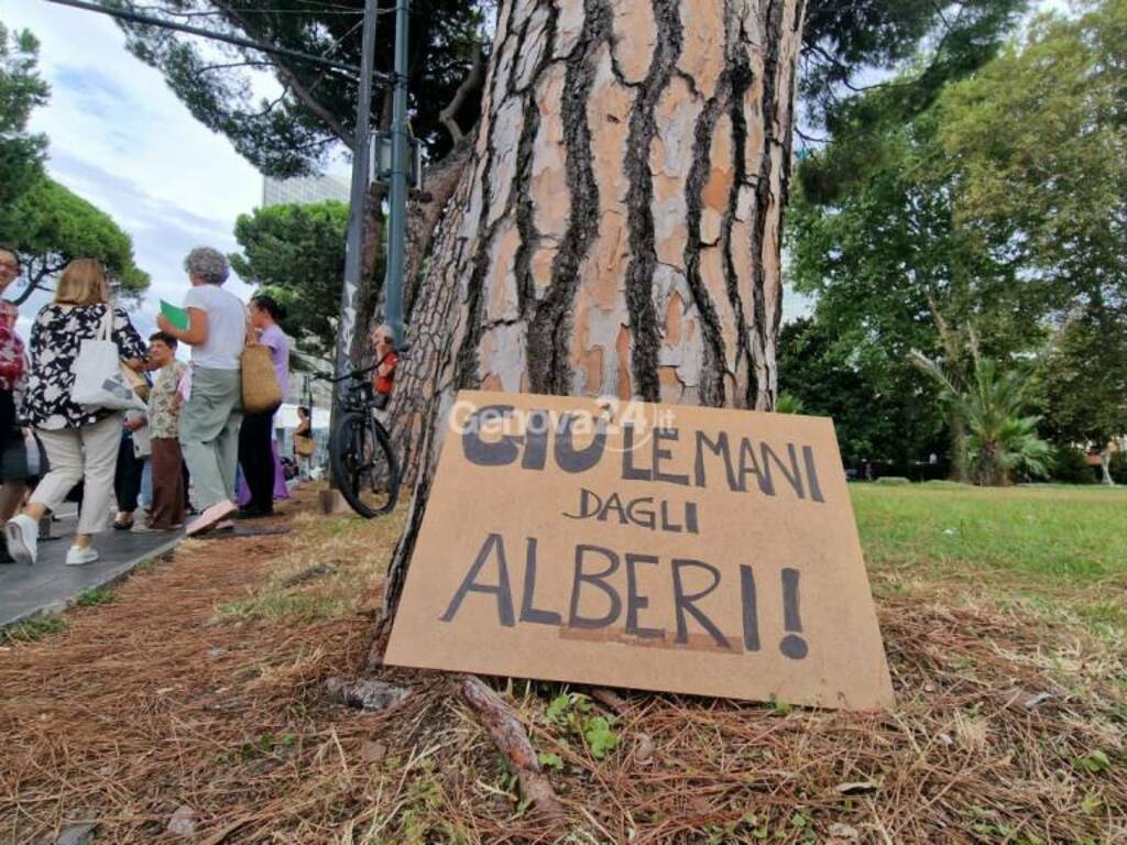 https://www.ivg.it/photogallery_new/images/2024/08/protesta-taglio-alberi-brignole-878628.large.jpg