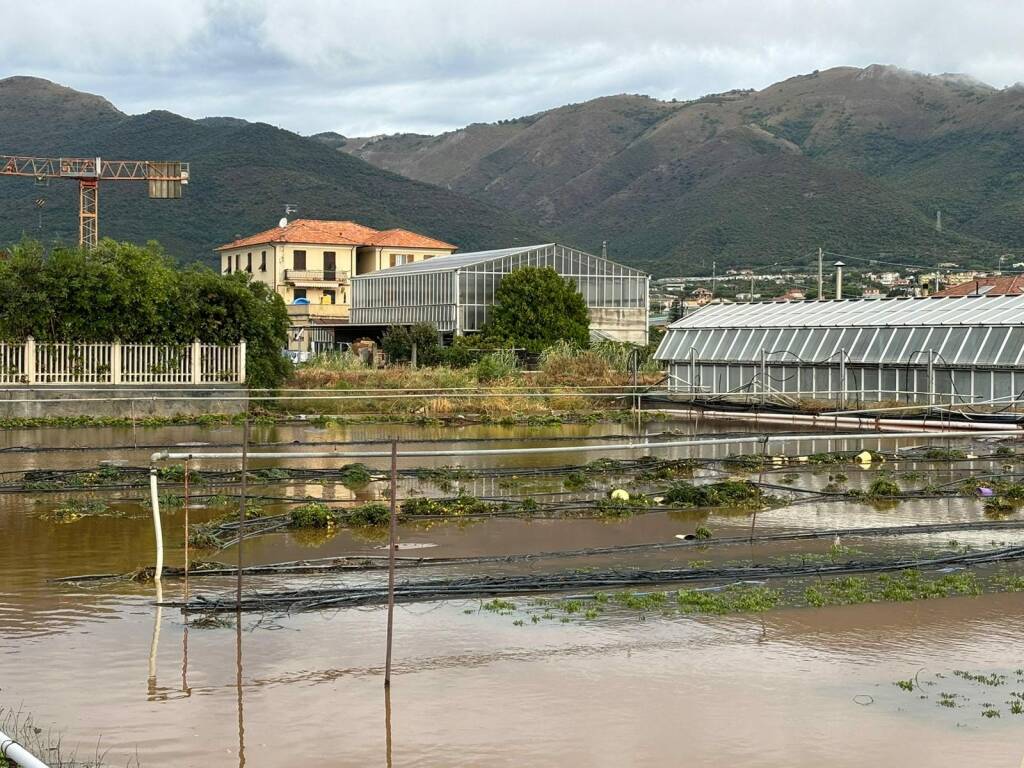 danni maltempo piana albenganese