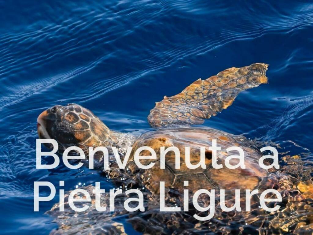 https://www.ivg.it/photogallery_new/images/2024/09/pietra-caretta-caretta-882990.large.jpg