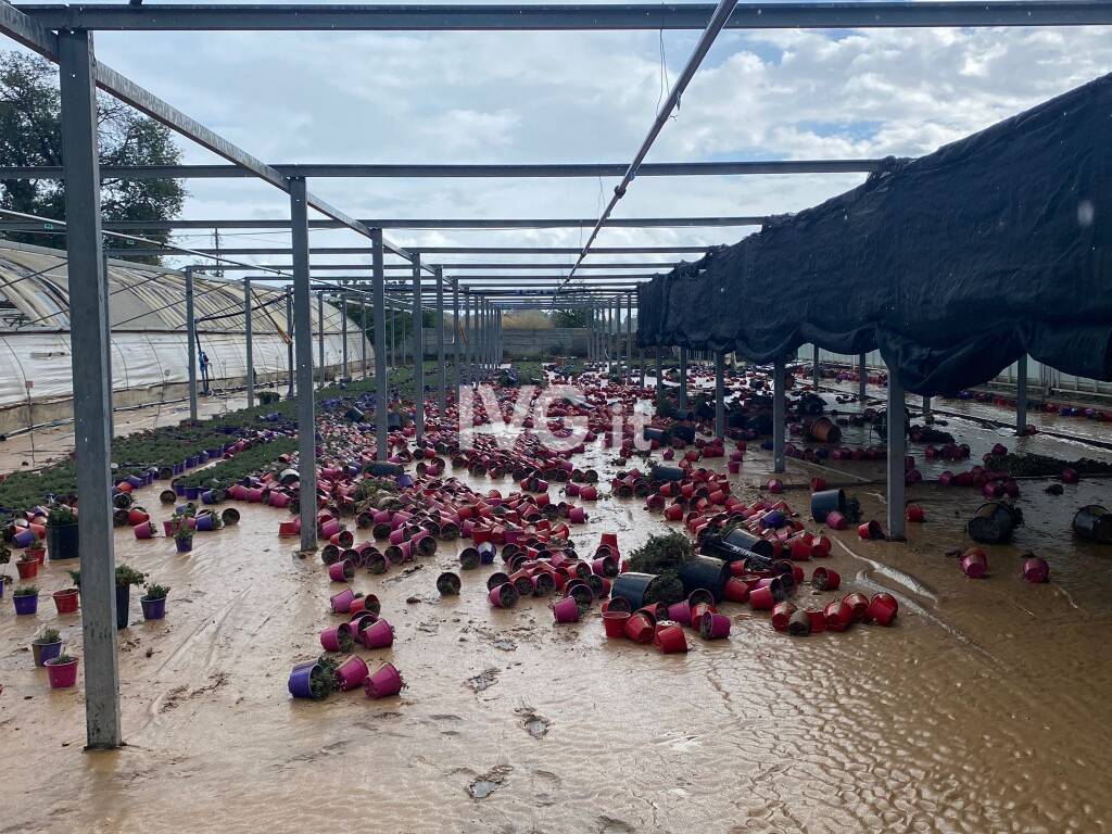 serra albenga caviglia maltempo