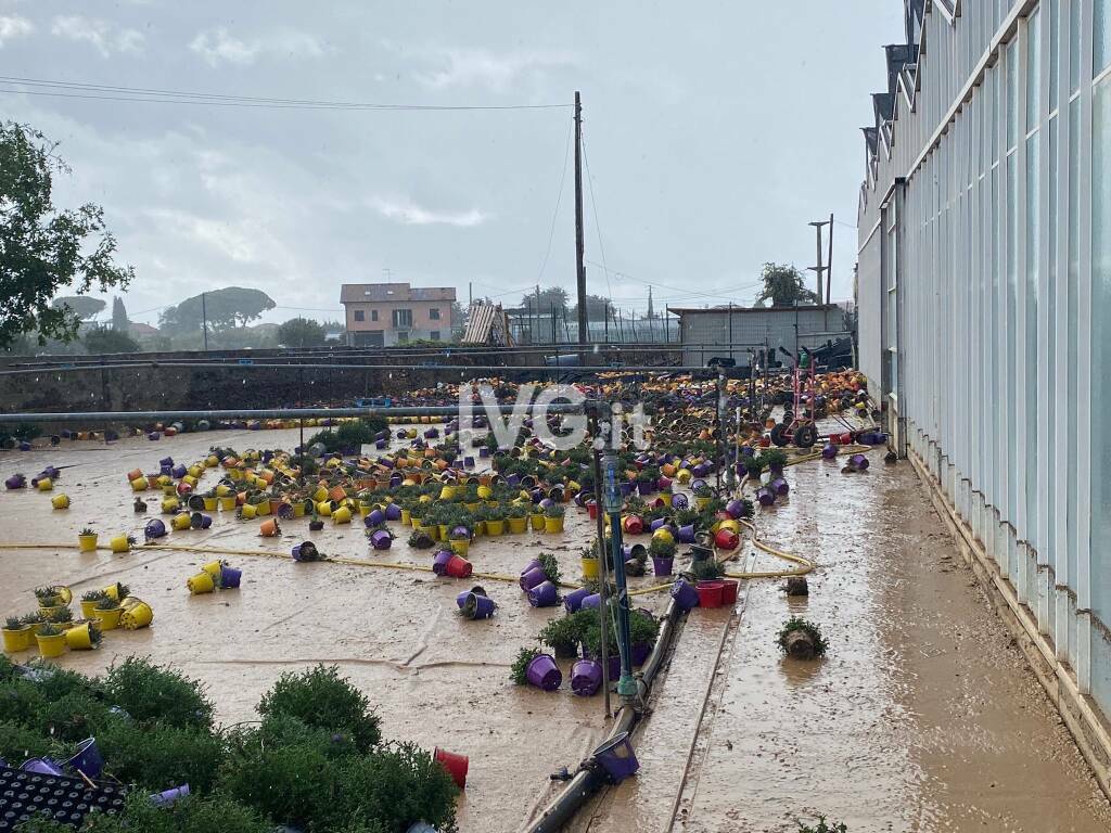 serra albenga caviglia maltempo