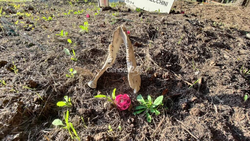 Cimitero della Castagna 2024