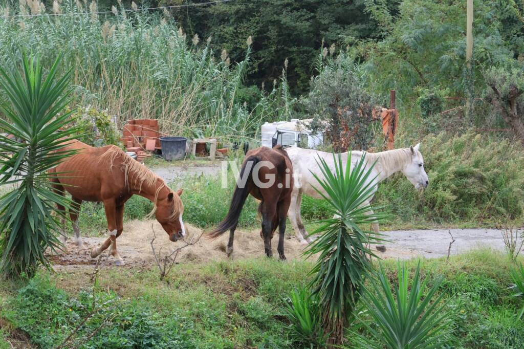 Frana a Ellera, isolata località Casino