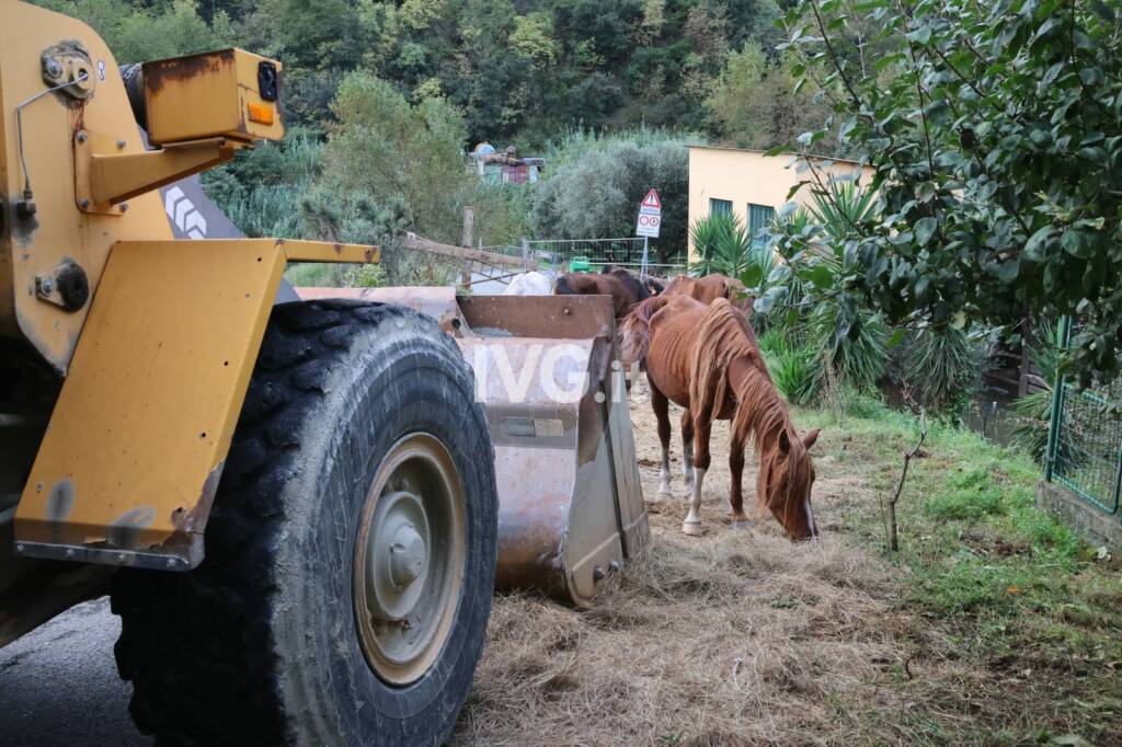 Frana a Ellera, isolata località Casino