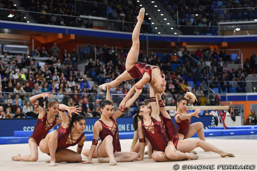 freddy grand prix ginnastica