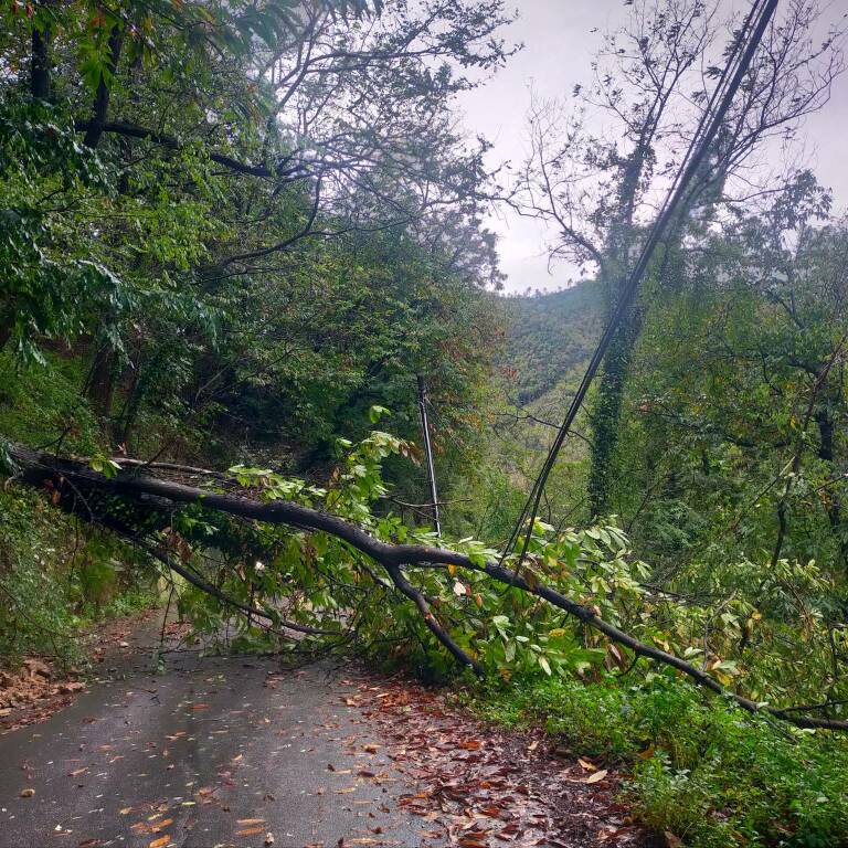 Maltempo a Genova 17 ottobre