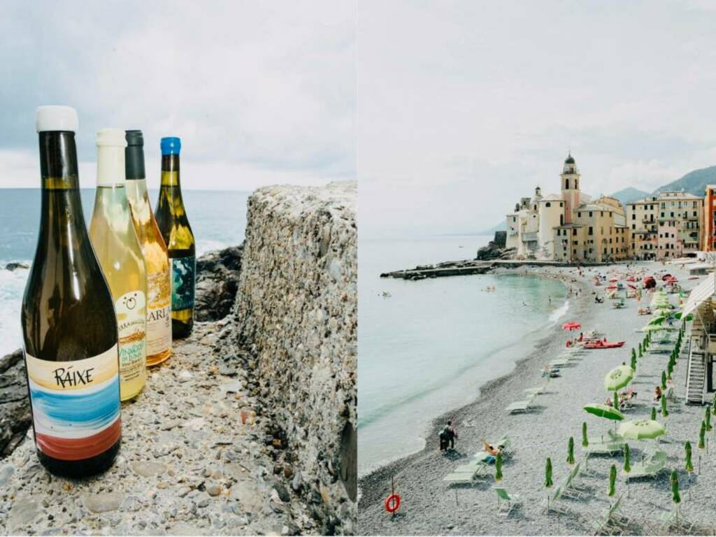 https://www.ivg.it/photogallery_new/images/2024/10/marea-festa-vino-camogli-890004.large.jpg