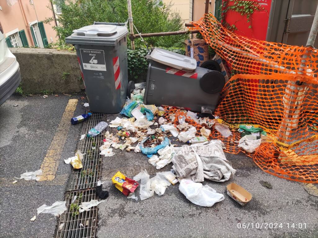 San fruttuoso e l’assedio dei cinghiali, i residenti: “Dopo le 22 rinunciamo a uscire di casa”