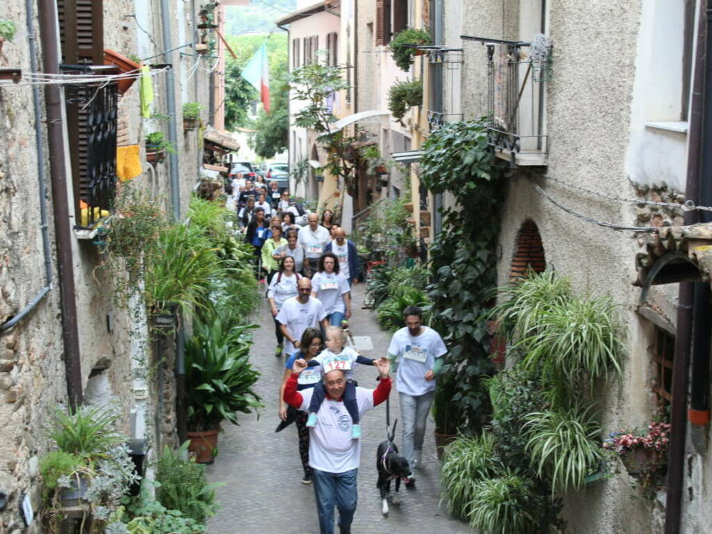 cammicorsa villanova albenga