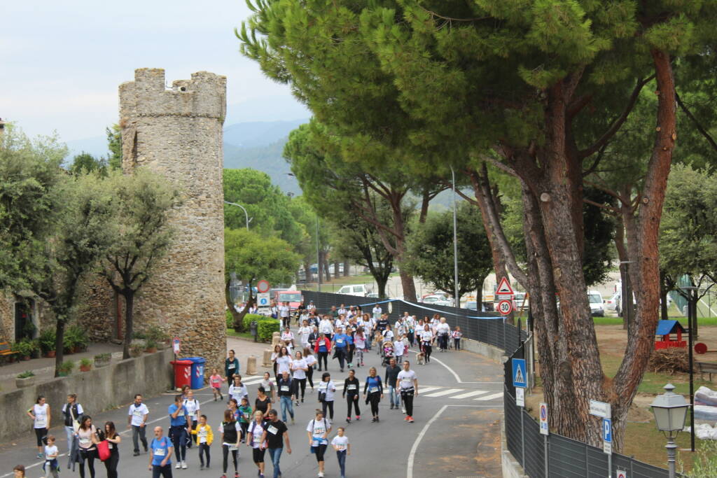 cammicorsa villanova albenga