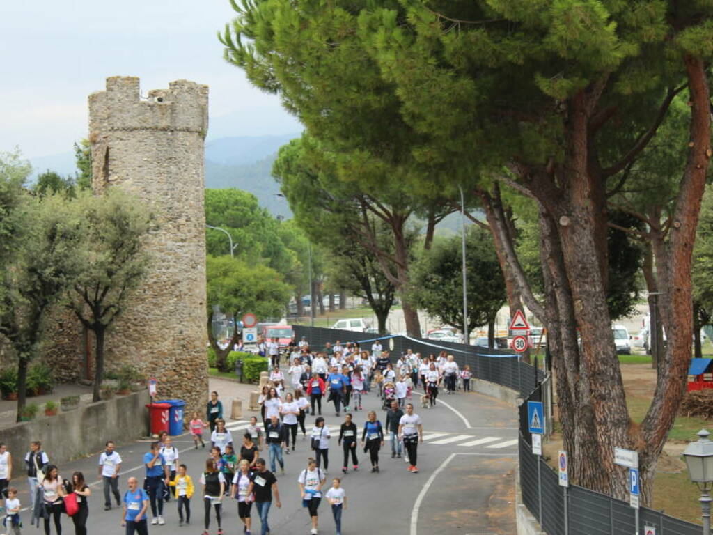 cammicorsa villanova albenga