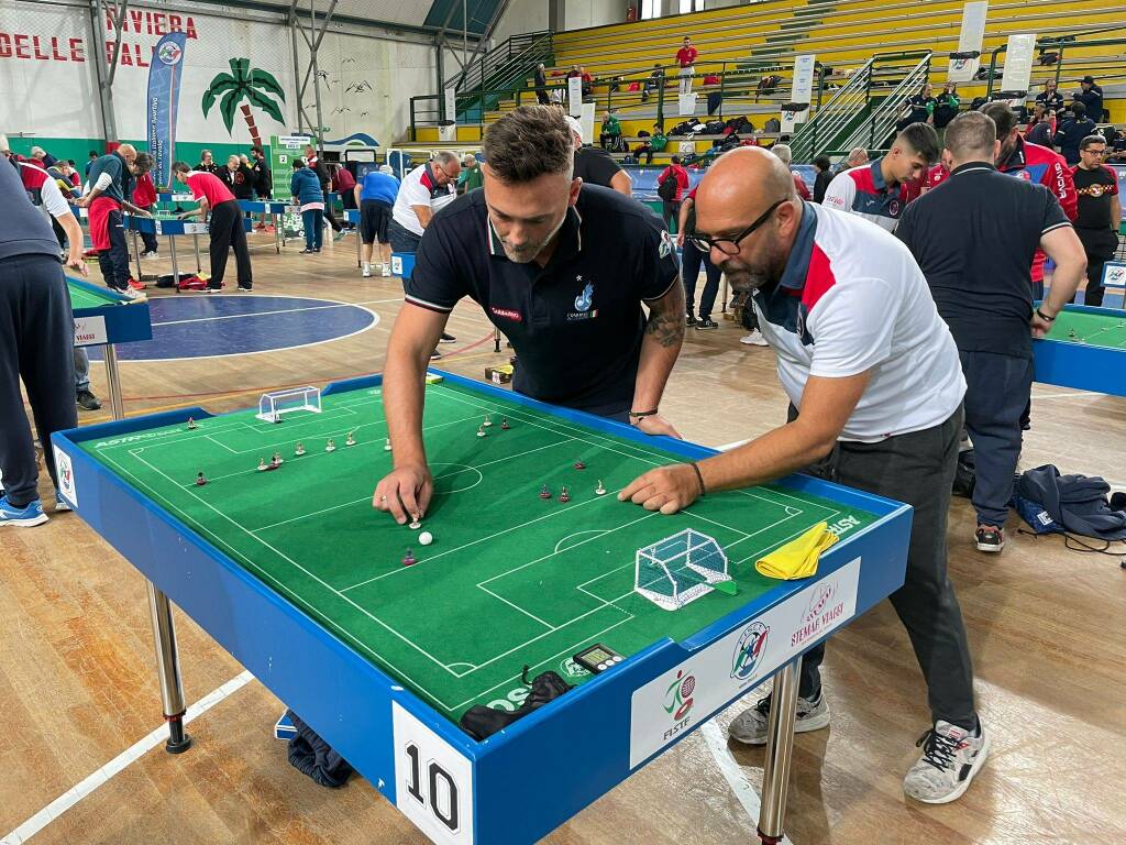 subbuteo