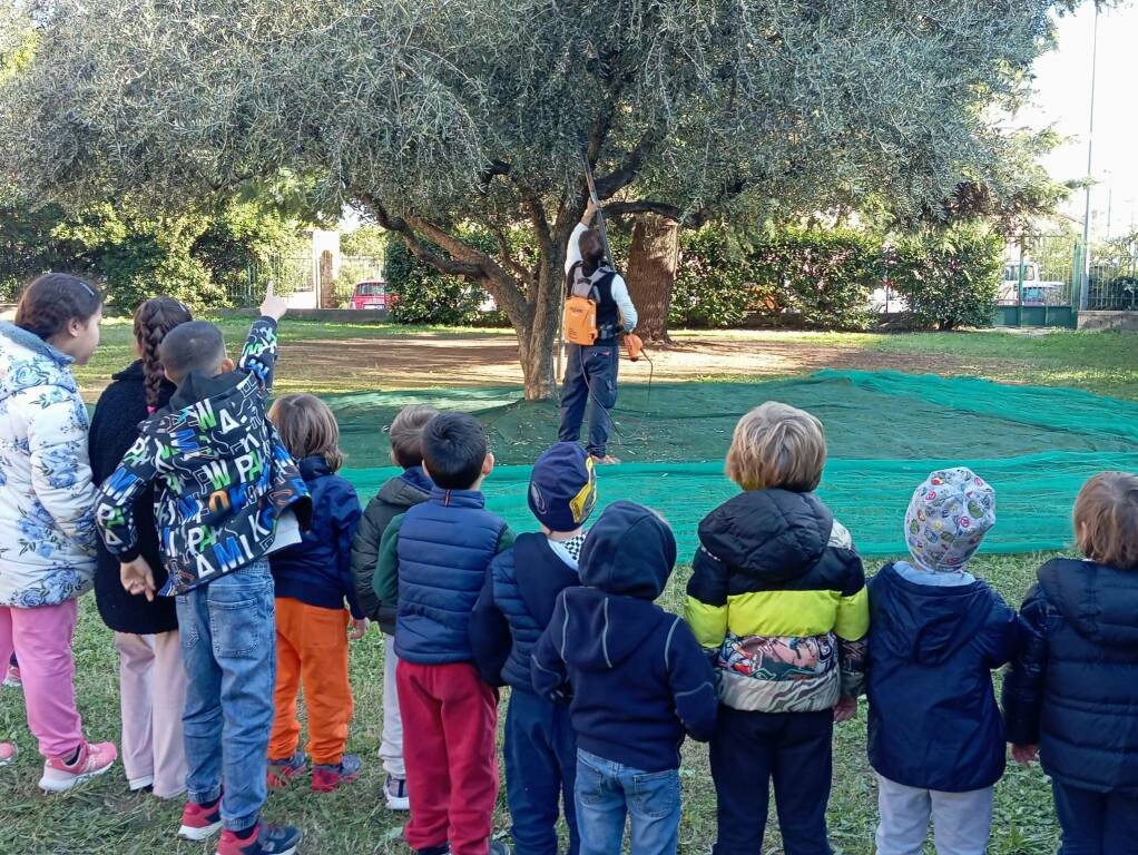 Scuola primaria bastia olive