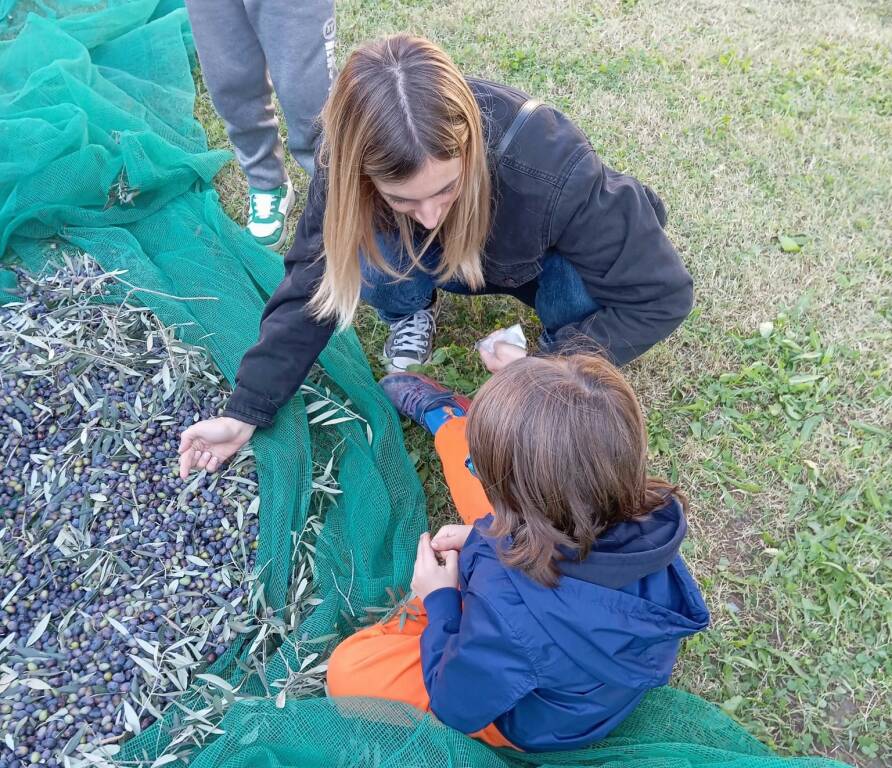 Scuola primaria bastia olive